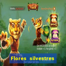 Flores silvestres brasileiras brasileiras flores silvestres nomes e imagens